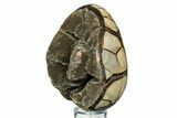 Septarian Dragon Egg Geode - Sparkly Black Crystals #308841-2